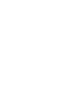 LA TEAM LOGO vertical